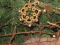 Christmas Tree in Memory of Constance Neel